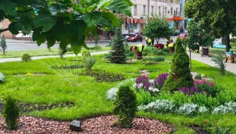 Харків стане зеленішим: масштабний проект озеленення у 2025 році