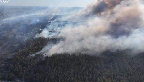 Недопалок спричинив масштабну пожежу та збитки на мільйони гривень