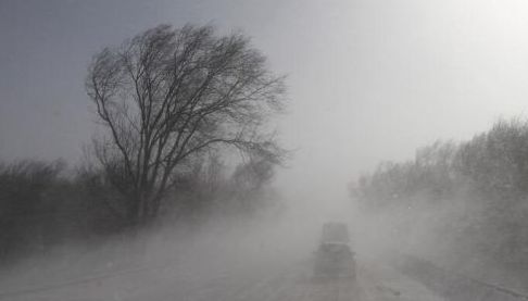Погода на Харківщині: Сильний вітер та жовтий рівень небезпеки