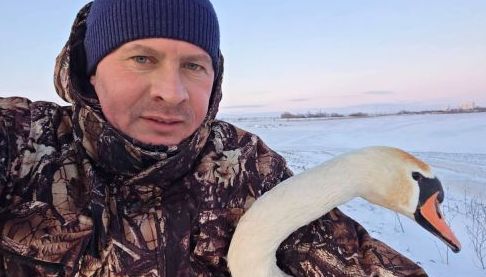 Харківські Агрономи Врятували Лебедя від Замерзання