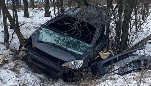 Зростання популярності екологічного землеробства в Україні: Нові методи та перспективи