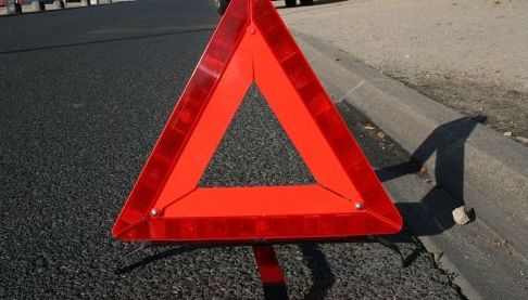 Бойовий котик Сірко: Як волонтери врятували військового