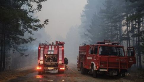 Харківські ліси готуються до пожежного сезону: масштабна розмінування та модернізація