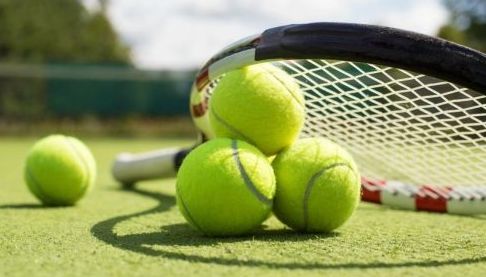 Світоліна вийшла до півфіналу турніру в Окленді, обігравши Картал