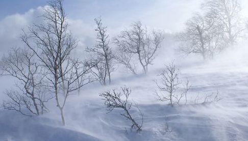 Холодний фронт наближається: Харківщина готується до серйозних погодних умов