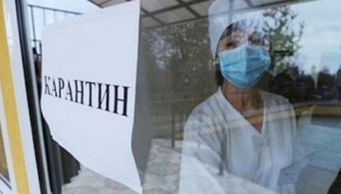 Сказ у Харкові: В Київському районі запроваджено карантин через укус лисиці