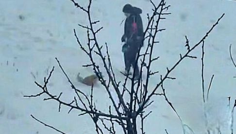 Харківські поліцейські розслідують відео з можливим знуттям з собаки
