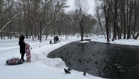 Погода в Харкові 20 січня: Прогноз на день