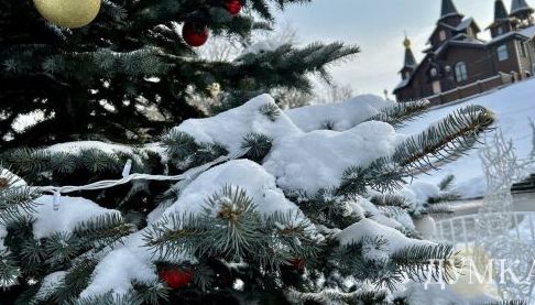 Погода в Харкові та області 21 січня: прогноз на день
