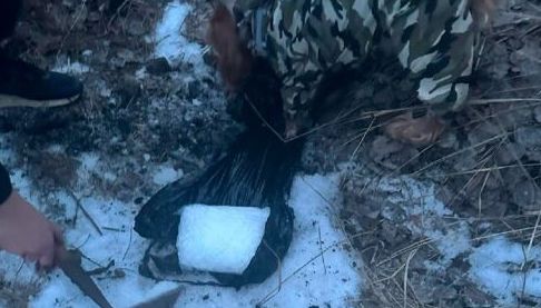 Службовий Пес у Харкові Знахідник Психотропів