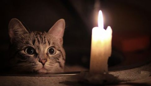Харківщина: П’ятниця, 13 лютого, без електроенергії за графіком