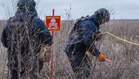 Розмінування в Харковаській області: Результати тижневих робіт