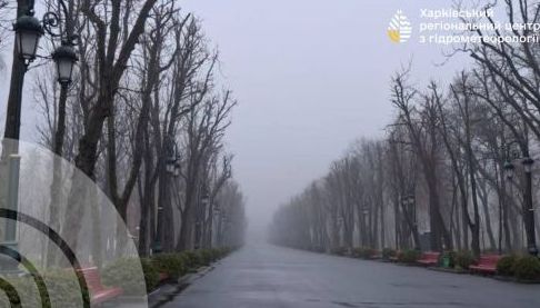Складні погодні умови у Харковатській області 15 лютого: дощ, сніг, туман