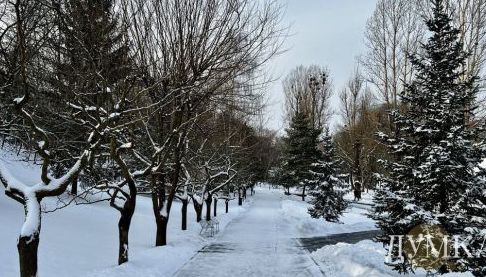 Прогноз погоди на Харківщину на 4 лютого: Похмуро та морозно
