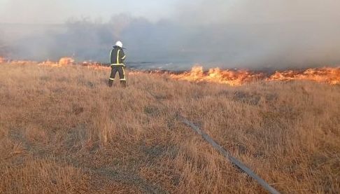 Пожежі на Харківщині: рятувальники боролися з вогнем протягом доби