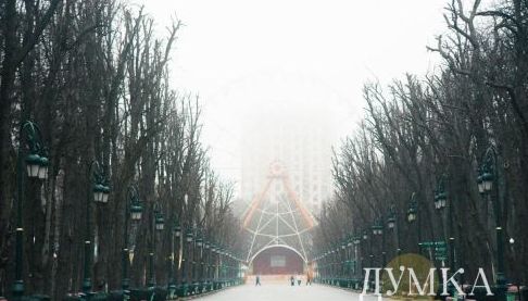 Туман на Харковщині 19 березня: Попередження синоптиків