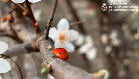 Прогноз погоди на 30 березня для Харківщини