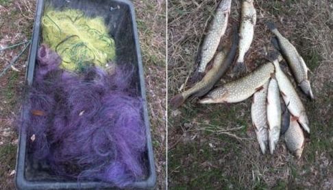 Нелегальна рибалка завдала збитків у 32 тисячі гривень у Харкivській області
