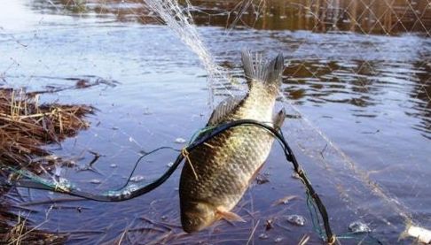 У Харквощинні затримано браконьєрів на Оскільському водосховищі
