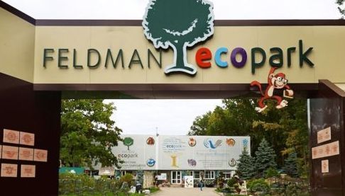 Народження малюків кільцехвостих лемурів у Фельдман Екопарку