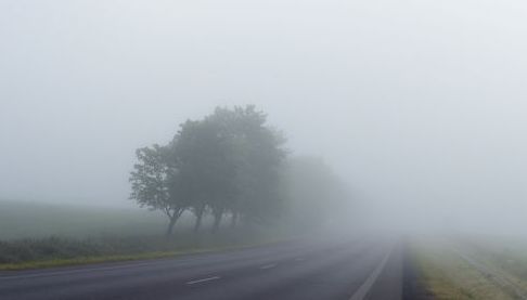 Туман у Харкові: важливі рекомендації для водіїв і пішоходів