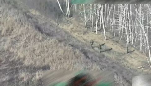 Знищення російських окупантів у лісосмузі на Харківщині