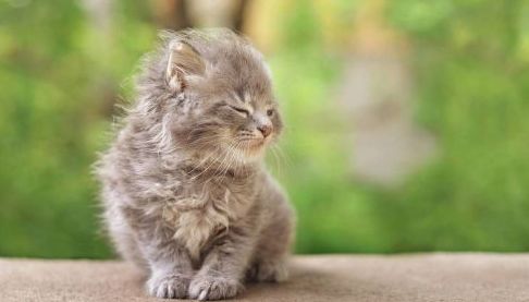 Якою очікується погода в Харкові 28 квітня