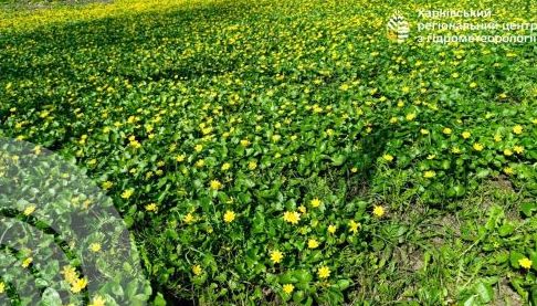 Прогноз погоди на початок тижня в Харківській області