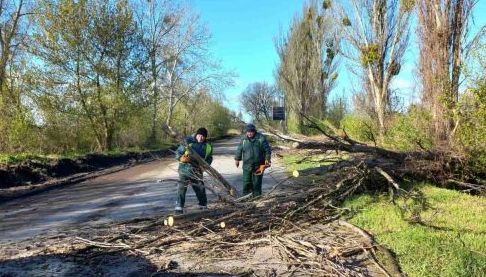 Наслідки буревію в Харкові: пошкодження в усіх районах і постраждала людина
