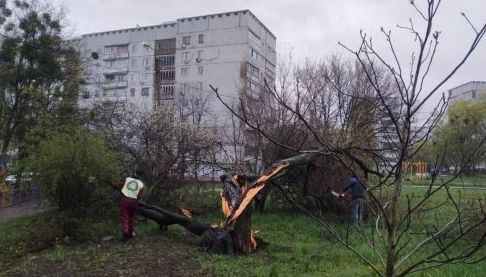 Наслідки негоди в Харкові: комунальники усувають пошкодження