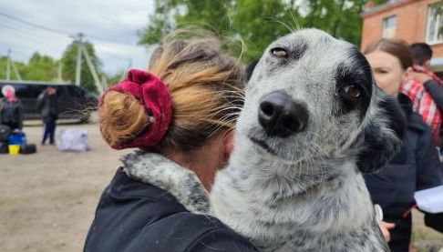 Допомога ВПО та нужденним у Харкові: як долучитися