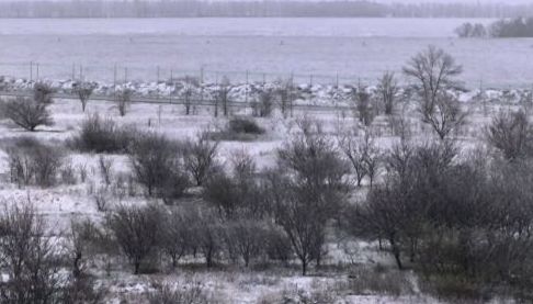 Снігопад у Харкові 24 квітня: опади триватимуть до пізнього ранку